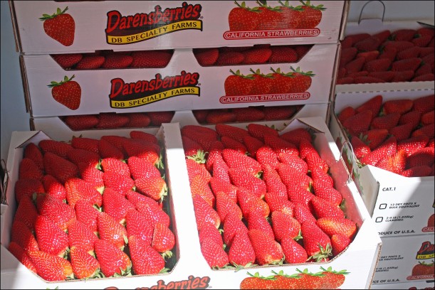 Strawberries post_edited-1